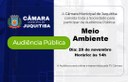 Audiência Pública Meio Ambiente